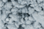 Decore