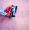 Base Coat