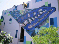 زیبا سازی شهر